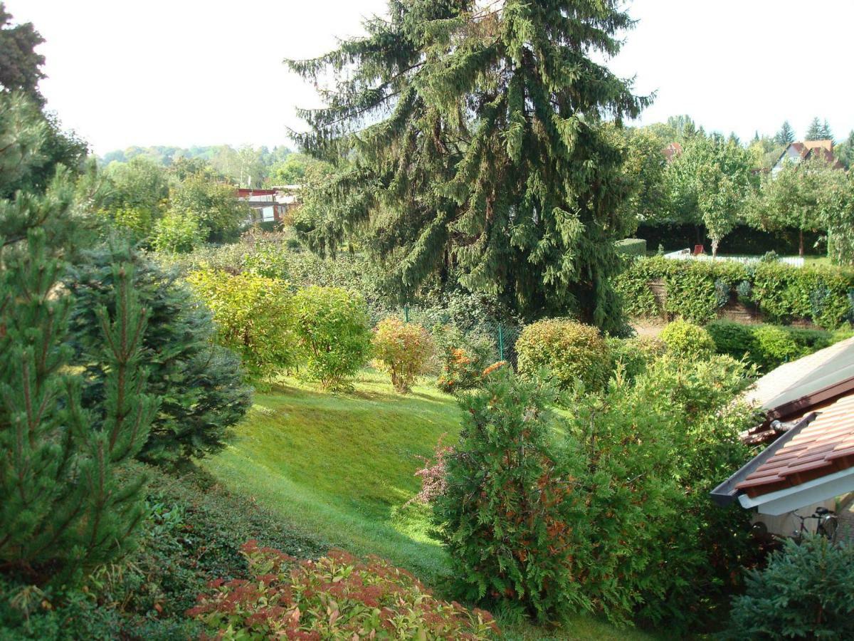 Ferienanlage Traumhaft Wernigerode Extérieur photo
